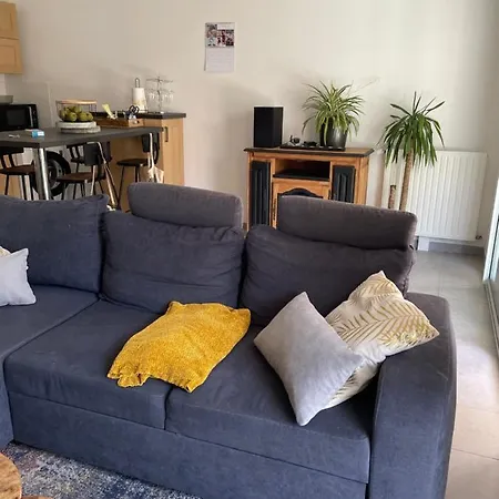 Appartement Avec Terrasse Proche De Rennes *